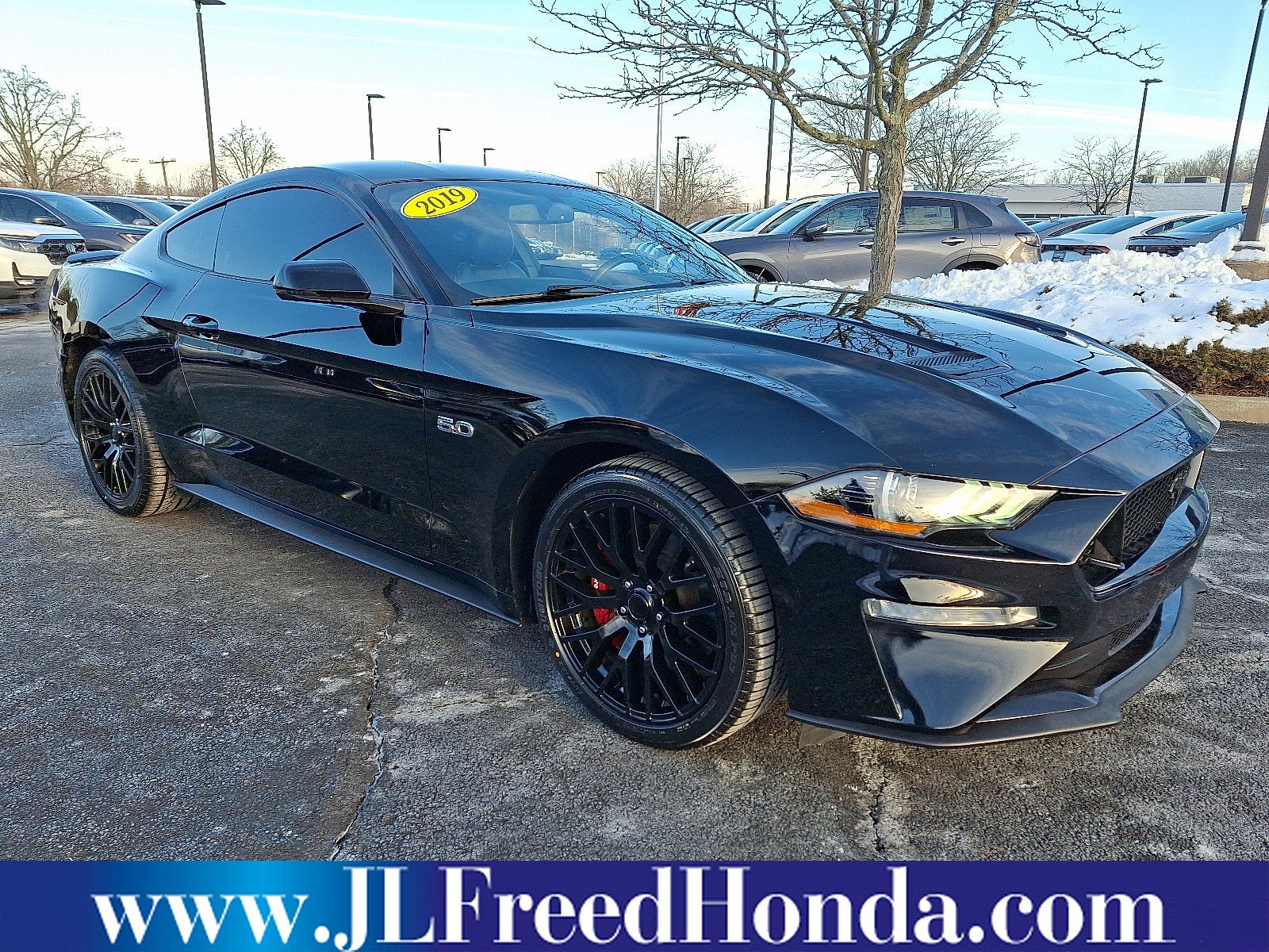 2019 Ford Mustang GT Premium