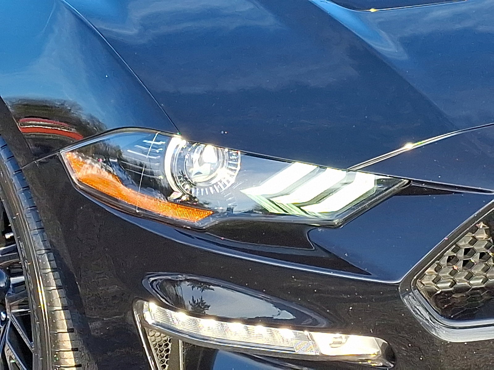 2019 Ford Mustang GT Premium