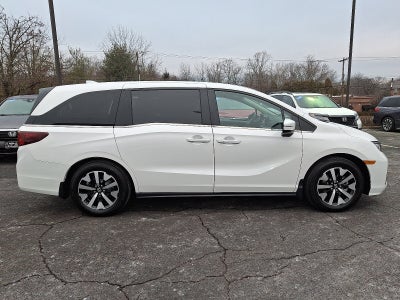 2025 Honda Odyssey EX-L