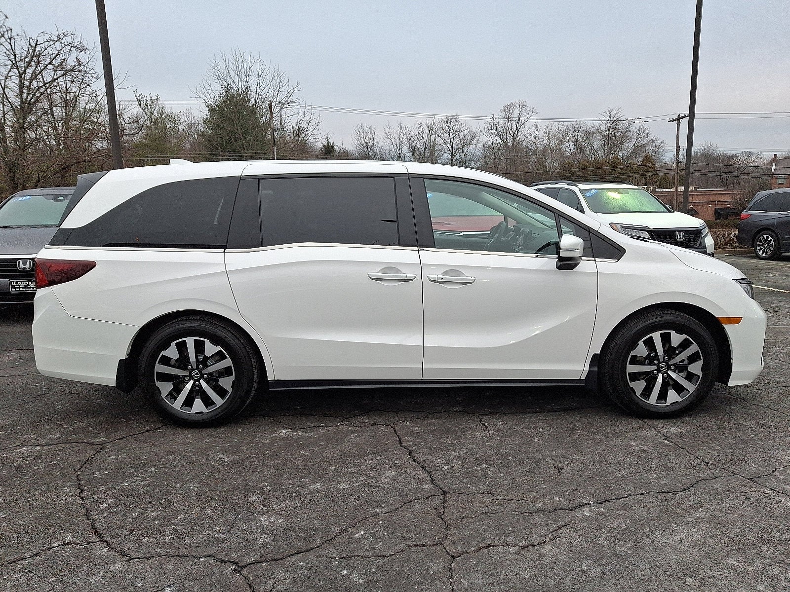 2025 Honda Odyssey EX-L