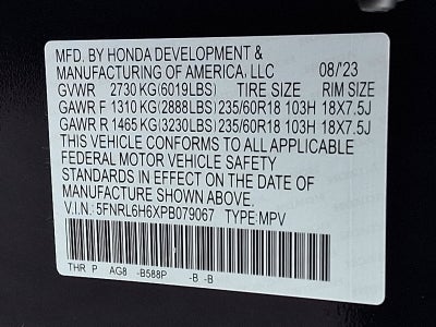 2023 Honda Odyssey EX-L